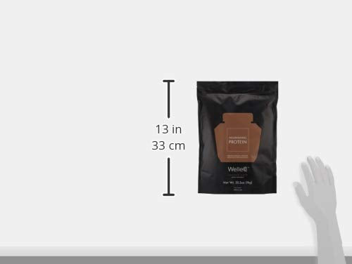 WelleCo Vegan Protein Powder, Gluten Free Premium Organic Sprouted Brown Rice & Pea Protein Blend, 6g Carbs & Dairy Free, for Energy, Muscle Recovery, 16g Protein Per Serving, Chocolate, 35.2oz Pouch