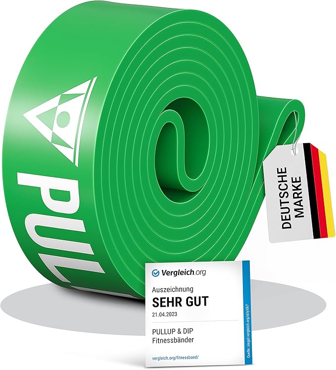 PULLUP & DIP Fitness Bands, Resistance Bands with Bag, Door Anchor (with Sets) and Exercise Guide - Single & in Value Set, Pull-Up Band Fitness Band for Calisthenics