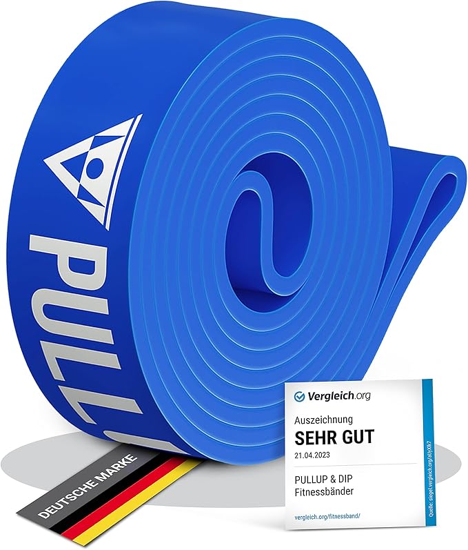 PULLUP & DIP Fitness Bands, Resistance Bands with Bag, Door Anchor (with Sets) and Exercise Guide - Single & in Value Set, Pull-Up Band Fitness Band for Calisthenics