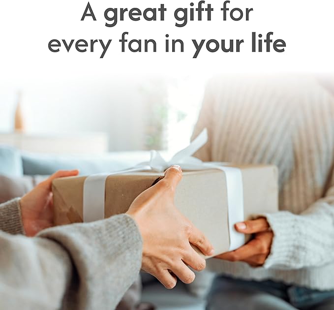 The Memory Company | Licensed NFL 2-Pack Team Logo Ramen Bowl