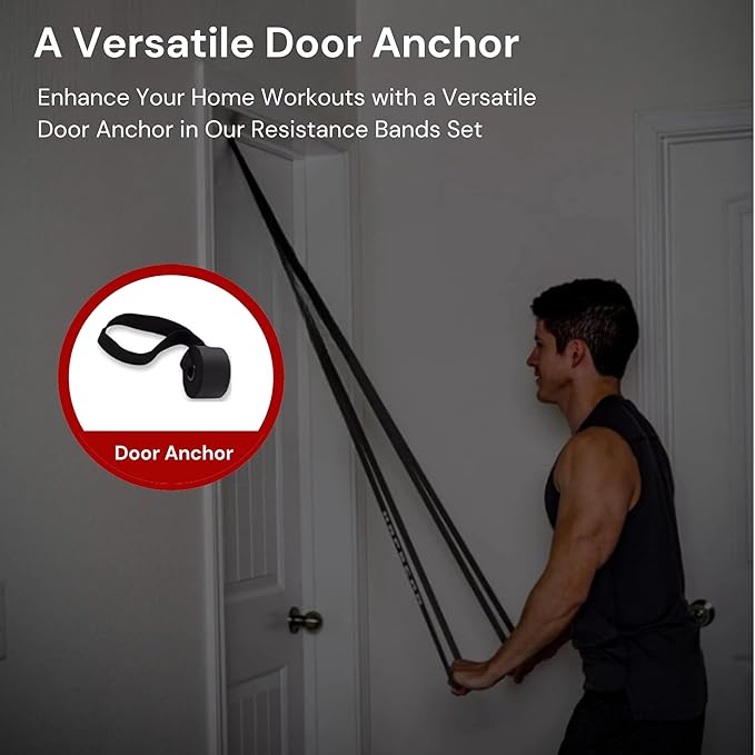 Premium Latex Free Resistance Bands for Working Out - Set of 5 + Carrying Bag | Non Latex Pull Up Loop Workout Bands Resistance for Women and Men | Stretching, Exercise and Muscle Training