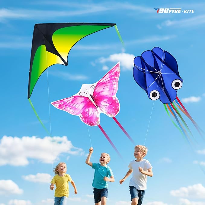 3 Piece Set Butterfly Delta Octopus Kites for Kids and Adults,Easy to Fly for Outdoor Adults Children Line Kite for Kids Toy (Delta 2+Octopus 2+Butterfly 2, 6)