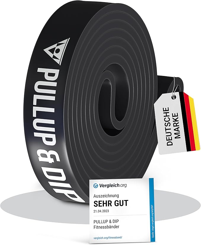 PULLUP & DIP Fitness Bands, Resistance Bands with Bag, Door Anchor (with Sets) and Exercise Guide - Single & in Value Set, Pull-Up Band Fitness Band for Calisthenics