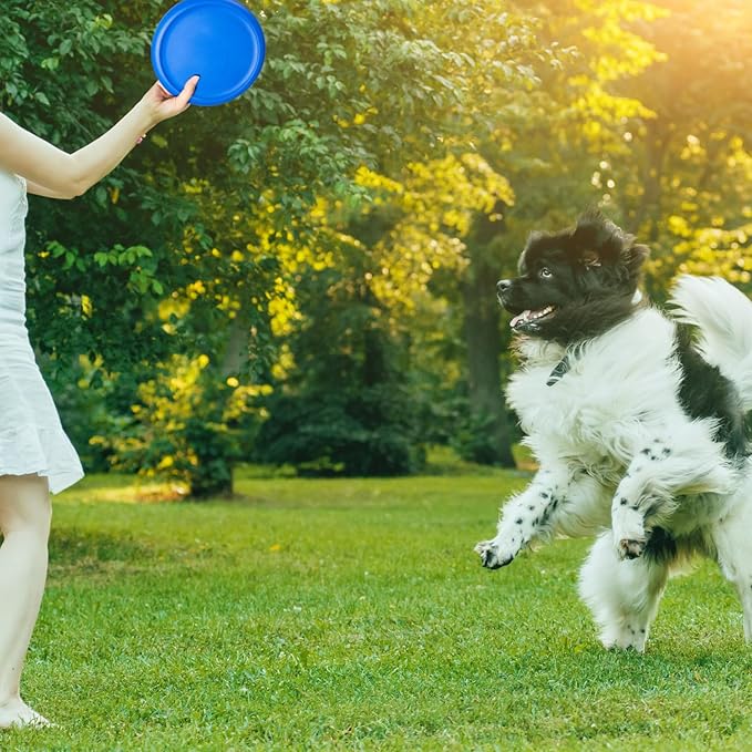 8 Inch Foam Flying Discs PE Equipment Coated Foam Soft Flying Discs Kid Toy for Physical Education Equipment Elementary School Teaching Outdoor Playing Game Sports Favors, 6 Colors