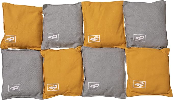 TRIUMPH SPORTS USA All-Weather Aluminum 2x3 Cornhole Set - Includes 2 Boards, 8 Cornhole Bags, and Travel Case,Blue