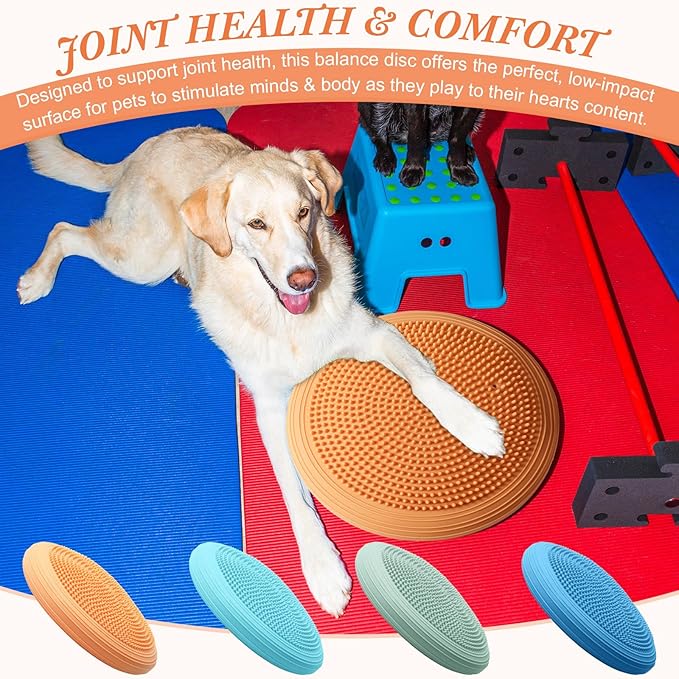 Libima 4 Pcs Wiggle Seat Inflated Wobble Cushion for Sensory Kid 13 Inches Balance Disc Flexible Seating for Classroom Sensory Pad for Chair Wiggle Cushion with Needle Pump