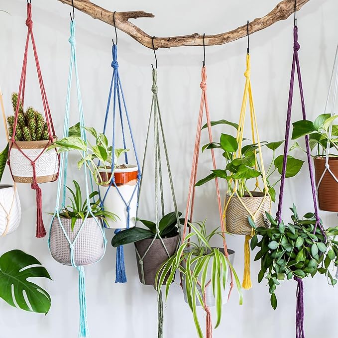 MECCANIXITY 3/16 Inch Polypropylene Rope Braided Ropes, 328ft Nylon Rope Hollow Utility Cord for Clothesline, Camping, Hiking, Outdoor, Brown