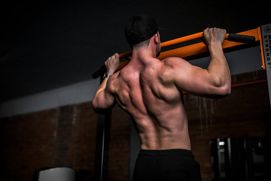 Why Every Home Gym Needs a Pull-Up Bar
