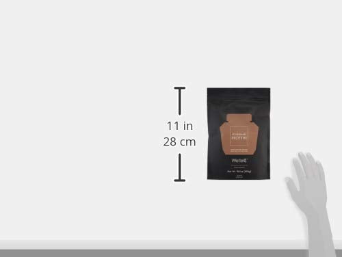 WelleCo, Nourishing Protein, Premium Organic Sprouted Brown Rice & Pea Protein, Chocolate Flavour, 300g (10.5oz) Pouch