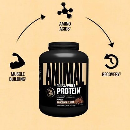 Animal 100% Whey Protein Powder ??Whey Blend for Pre Workout or Post Workout, Recovery, or an Anytime Low Sugar Protein Boost Meal Replacement with BCAA Branched Chain Amino Acids ??Chocolate, 4 lb