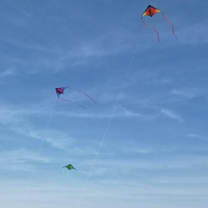 Large Delta Kite for Kids & Adults - Easy to Fly Outdoor Kites for Kids Ages 8-10, Perfect for Beach & Family Activities, Includes Line & Handle