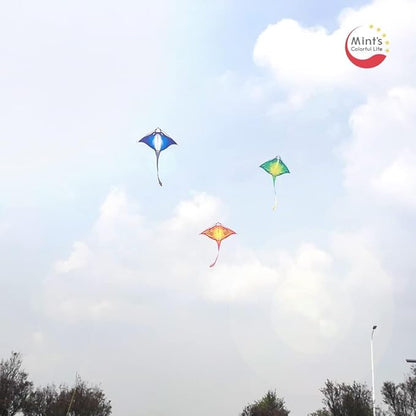 Mint's Colorful Life Devil Fish Kite for Kids and Adults，Easy to Fly Delta Kites Single Line Large, 300ft Kite String Handle Include