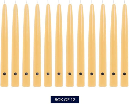 Colonial Candle Unscented Taper Candle, Handipt Collection, Limoncello, 10 in, Pack of 12 - Up to 8 Hours Burn