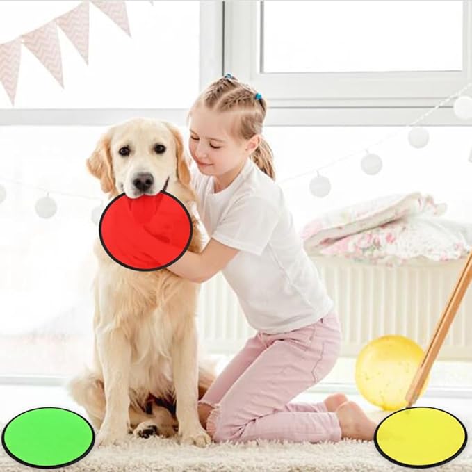 10 PCS Foldable Flying Disc Fans Set with Bag Folding Pocket Beach Flying Disc for Party Favors Summer Outdoor Activity