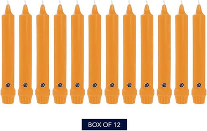 Colonial Candle Unscented Taper Candle, Classic Collection, Caramel, 8 in, Pack of 12 - Up to 6 Hours Burn