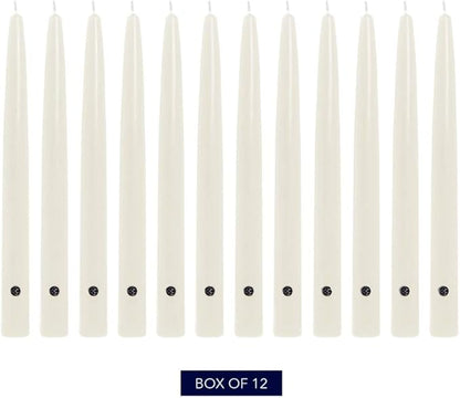 Colonial Candle Unscented Taper Candle, Handipt Collection, White, 12 In, Pack of 12 - Up to 10 Hours Burn