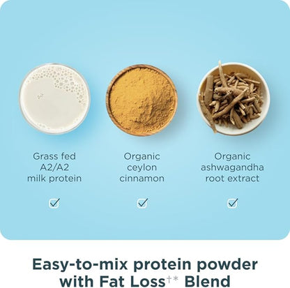 Ancient Nutrition Grass Fed Whey Protein + Fat Loss Blend, Vanilla Cinnamon, 23g Protein, Promotes Fat Loss and Boost Metabolism, Organic Regenerative A2/A2 Milk Protein,18 Servings