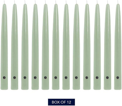 Colonial Candle Unscented Taper Candle, Handipt Collection, Colonial Classic Green, 10 in, Pack of 12 - Up to 8 Hours Burn
