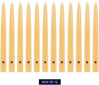Colonial Candle Unscented Taper Candle, Handipt Collection, Limoncello, 12 in, Pack of 12 - Up to 10 Hours Burn