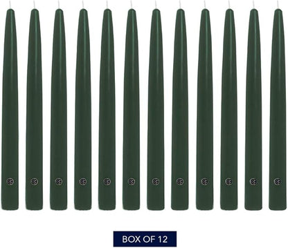 Colonial Candle Unscented Taper Candle, Handipt Collection, Evergreen, 10 in, Pack of 12 - Up to 8 Hours Burn