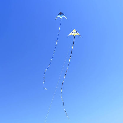 Delta Kite for Kids & Adults - Easy to Fly Large Single Line Beach Kite with 300ft String Handle Included, Perfect for Beginners, Teens