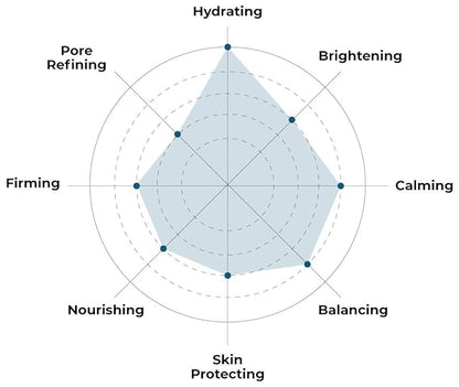 FACETORY K Beauty Face Mask Skin Care - Woah That H2O 2-Step Sheet Mask with Ceramide & Sodium Hyaluronate | Moisturizing, Balancing (5 Pack)