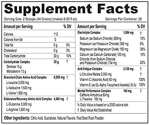 3-in-1 Endurance and Recovery, Hydration, BCAA, Electrolyte Enhanced Drink (Wild Berry)…