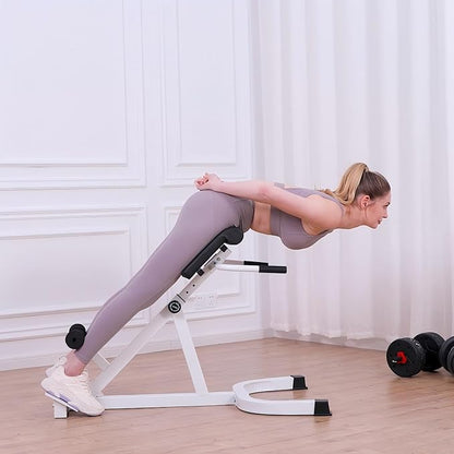 Roman Chair,Back Extension Bench,Multi Functional Ab Bench, Hyperextension Bench Abdominal Exercise, Leg Strength Trainer Home Men Women Full Body