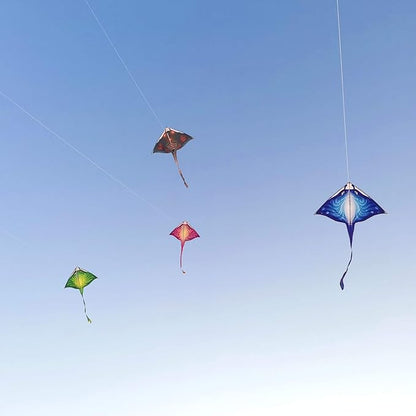 Mint's Colorful Life Devil Fish Kite for Kids and Adults，Easy to Fly Delta Kites Single Line Large, 300ft Kite String Handle Include