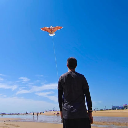 70.8" Eagle Kite for Adults and Kids - Easy to Fly and Assemble, Single Line Beach and Park Kite for Family Outdoor Activities, Comes with 300ft String Handle.