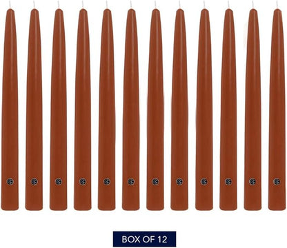 Colonial Candle Unscented Taper Candle, Handipt Collection, Amber, 10 in, Pack of 12 - Up to 8 Hours Burn