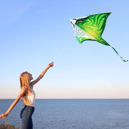 Mint's Colorful Life Devil Fish Kite for Kids and Adults，Easy to Fly Delta Kites Single Line Large, 300ft Kite String Handle Include