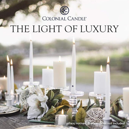 Colonial Candle Unscented Taper Candle, Classic Collection, Limoncello, 8 in, Pack of 12 - Up to 6 Hours Burn