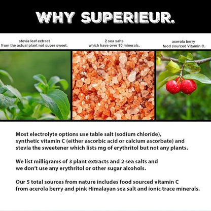 Superieur Electrolyte Powder Packets - Vegan Electrolyte Hydration Powder w/Sea Minerals - Keto Friendly, Non-GMO, Zero Sugar Electrolyte Supplement-Healthy Sports Drink -Sampler Pack (20 Packets)