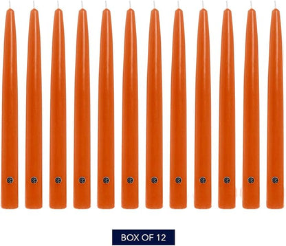 Colonial Candle Unscented Taper Candle, Handipt Collection, Pumpkin, 12 in, Pack of 12 - Up to 10 Hours Burn