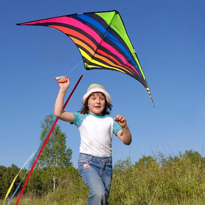 Mint's Colorful Life Delta Kite for Kids & Adults, Extremely Easy to Fly Kite, Best Kites for Beginner