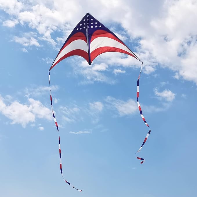 Mint's Colorful Life Delta Kite for Kids & Adults, Extremely Easy to Fly Kite, Best Kites for Beginner