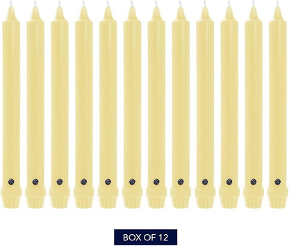 Colonial Candle Unscented Taper Candle, Classic Collection, Limoncello, 8 in, Pack of 12 - Up to 6 Hours Burn