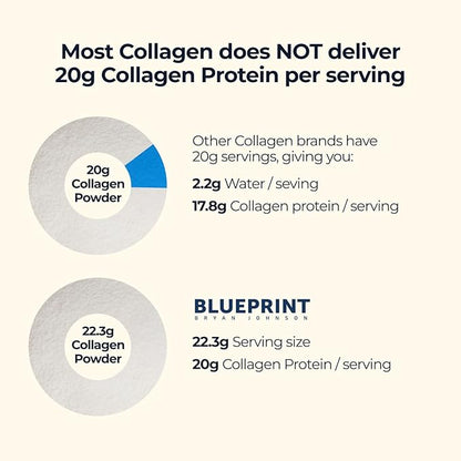 Blueprint Bryan Johnson Hydrolyzed Collagen Peptides Powder – Type I, II & III Collagen for Women & Men – Unflavored Protein Supplement for Hair, Skin, Nails, Joints & Cartilage – 20g – 30 Servings