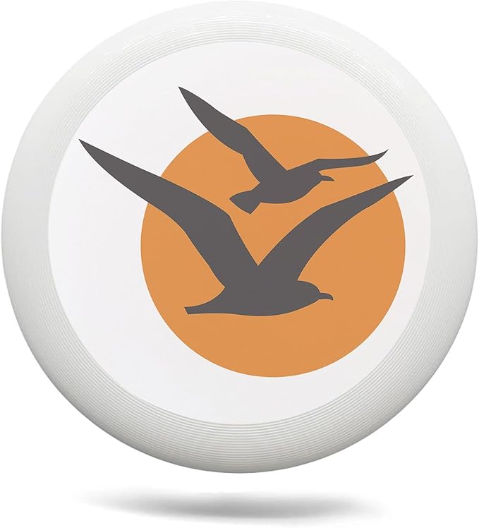 Rainbow Flower Outdoor Flying Disc Abstract Colorful Floral Ultimate Disc 175g for Boys Girls Men Women Birthday Christmas