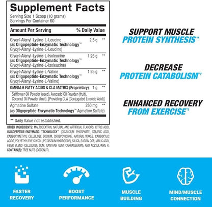 BPI Sports Best BCAA - BCAA Powder - Branched Chain Amino Acids - Muscle Recovery - Muscle Protein Synthesis - Lean Muscle - Improved Performance ??Hydration ??Fruit Punch - 60 Servings - 1.32 Pound