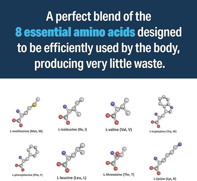??Advanced Amino Powder, Amino Acid Supplement, Build Muscle, Post Workout Recovery, Energy,Non-GMO, Gluten Free, Dairy Free, Vegan (30 Servings)