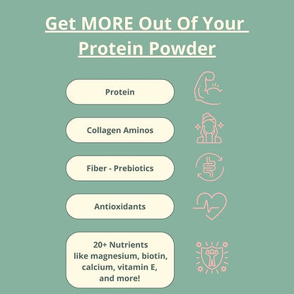 Clean Vegan Protein Powder Chocolate - Plant Based Protein Powder Dairy Free for Gut Health, No Sodium, High Fiber, Keto Friendly, Non Dairy, Lactose Free