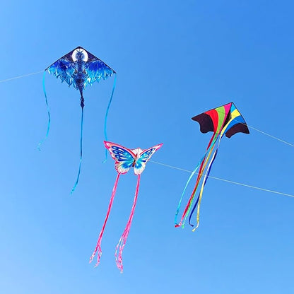 Kites for Kids & Adults, Beach Kites Set for Beginners, Easy to Fly Large Kites Pack for Boys and Girls, Kite String Included, Perfect for Outdoor Activities