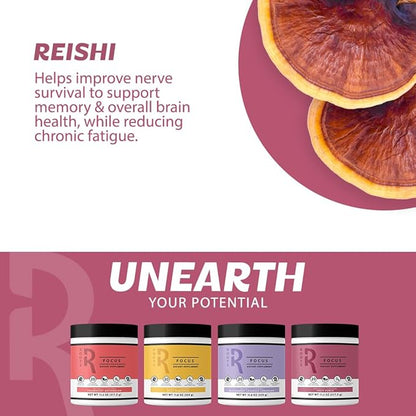 Roots Focus Nootropic Brain Supplement, Fruit Punch, Blend of Lion's Mane, Cordyceps, and Reishi Functional Mushrooms with Extended-Release Caffeine, 15 Servings