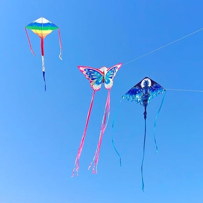 Mint's Colorful Life Kite Set for Kids and Adults, Easy to Fly Butterfly Delta Airplane Dragon Octopus Kite, Large Beach Kites Kits with 300ft String, Best for Gifts & Family Outings