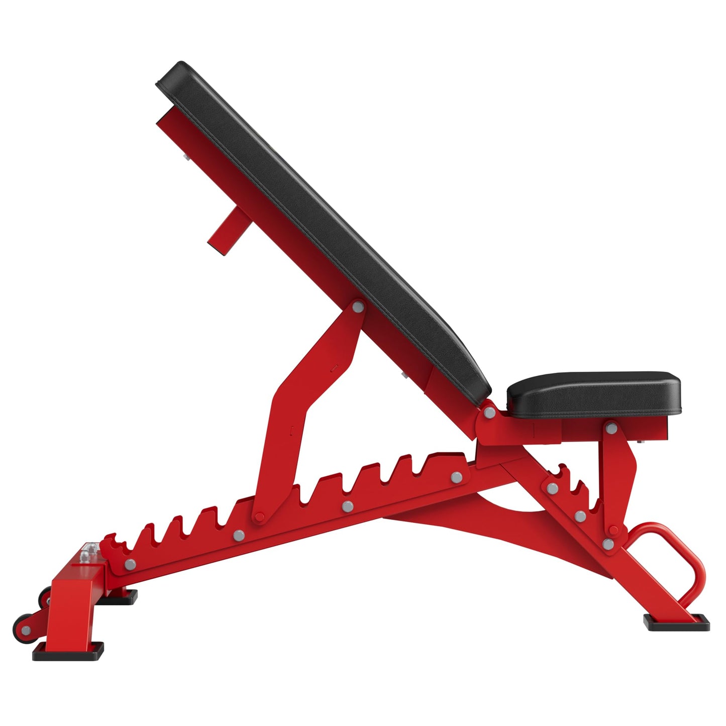 Major Fitness Weight Bench - 1300LBS Weight Capacity and 36 Adjustable Positions Strength Training