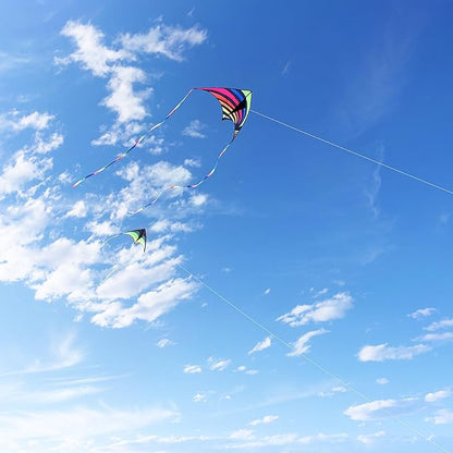 Mint's Colorful Life Delta Kite for Kids & Adults, Extremely Easy to Fly Kite, Best Kites for Beginner