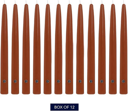 Colonial Candle Unscented Taper Candle, Handipt Collection, Amber, 12 in, Pack of 12 - Up to 10 Hours Burn