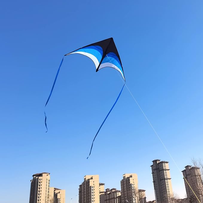 Mint's Colorful Life Delta Kite for Kids & Adults, Extremely Easy to Fly Kite, Best Kites for Beginner